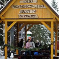 Zdjęcie ilustracyjne wiadomości: <b>Ścieżka przyrodnicza w Rdziostowie znowu zachwyca</b> #1