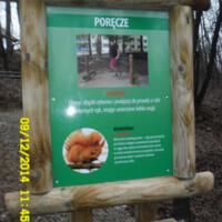 Zdjęcie ilustracyjne wiadomości: Ścieżka dydaktyczo – rekreacyjna w Biczycach Górnych #14