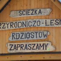 Zdjęcie ilustracyjne wiadomości: BIEG NA PAŚCIĄ GÓRĘ  #6