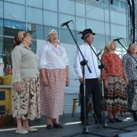 Zdjęcie ilustracyjne wiadomości: Relacja z Przeglądu Kół Gospodyń Wiejskich w Chełmcu #66