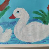 Prace konkursowe - ilustracje ptaków