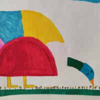Prace konkursowe - ilustracje ptaków