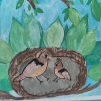 Prace konkursowe - ilustracje ptaków