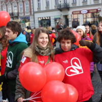Zdjęcie ilustracyjne wiadomości: <b>Zapaleni wolontariusze z Chełmca</b> #9