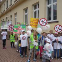 Zdjęcie ilustracyjne wiadomości: Marsz Poparcia Trzeźwości na Drogach Małopolski  #2