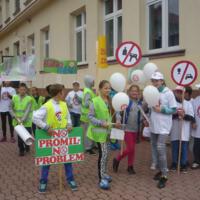 Zdjęcie ilustracyjne wiadomości: Marsz Poparcia Trzeźwości na Drogach Małopolski  #3
