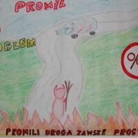 Zdjęcie ilustracyjne wiadomości: Kampania "No Promil - No Problem" podsumowana w Wieliczce #9