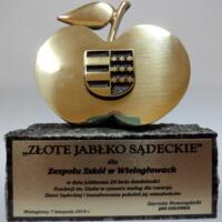 Zdjęcie ilustracyjne wiadomości: Jubileusz Fundacji im. Gizów i UKS w Wielogłowach #8