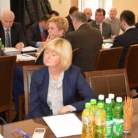 Zdjęcie ilustracyjne wiadomości: II Sesja Rady Gminy Chełmiec #14