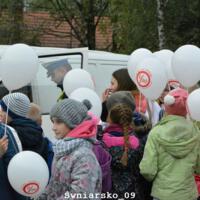 Zdjęcie ilustracyjne wiadomości: VIII edycja kampanii NO PROMIL – NO PROBLEM #25