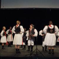 Zdjęcie ilustracyjne wiadomości: Gratulujemy pięknego jubileuszu! 10 lat Niskowioków! #37