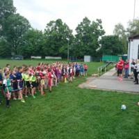 Zdjęcie ilustracyjne wiadomości: Wicemistrzostwo Województwa Małopolskiego RUGBY-TAG dla drużyny z Trzetrzewiny #2