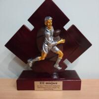 Zdjęcie ilustracyjne wiadomości: Wicemistrzostwo Województwa Małopolskiego RUGBY-TAG dla drużyny z Trzetrzewiny #3