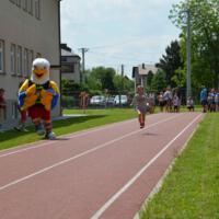 Zdjęcie ilustracyjne wiadomości: W sobotę 4 czerwca 2016r. Wydział Sportu i Rekreacji postanowił uczcić „Dzień Dziecka na sportowo”.   #21
