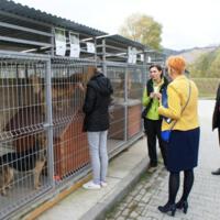 Zdjęcie ilustracyjne wiadomości: Finał kampanii na rzecz bezdomnych psów z Gminnego schroniska w Wielogłowach. #9