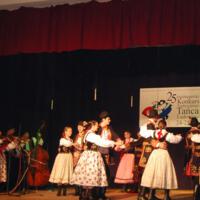 Zdjęcie ilustracyjne wiadomości: I nagroda dla zespołu NISKOWIOKI w Ogólnopolskim Festiwalu Tradycyjnych Tańców Ludowych - Rzeszów 2009 #1
