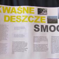 Zdjęcie ilustracyjne wiadomości: Eko Paszyn – jesteśmy po stronie natury! #33