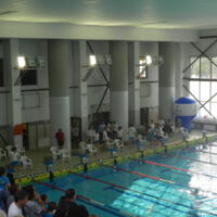 Zdjęcie ilustracyjne wiadomości: GKS Iskry Chełmiec Sekcja Pływacka - Relacja z XVI Rodzinnego Festynu Pływackiego Swim Test #4