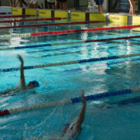 Zdjęcie ilustracyjne wiadomości: GKS Iskry Chełmiec Sekcja Pływacka - Relacja z XVI Rodzinnego Festynu Pływackiego Swim Test #8