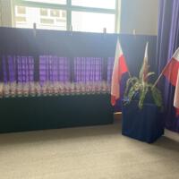 Sala gimnastyczna udekorowana fioletowymi zasłonami oraz napisami RADOSNA NIEPODLEGŁOŚCI gminny konkurs pieśni patriotycznych oraz Wolność kocham i rozumiem - wolności oddać nie umiem, zdjęcia występów konkursowych, wójta dyrektora szkoły, nauczycieli itp...
