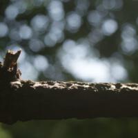 Zdjęcie ilustracyjne wiadomości: Zajęcia z fotografii zakończone #102