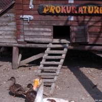 Zdjęcie ilustracyjne wiadomości: Zajęcia z fotografii zakończone #166