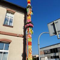 Zdjęcie ilustracyjne wiadomości: Palma Wielkanocna -12 metrowy symbol Zmartwychwstania Pańskiego #1