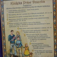 Zdjęcie ilustracyjne wiadomości: Rzecznik Praw Dziecka w Szkole Podstawowej z Oddziałami Specjalnymi w Chełmcu
 #73
