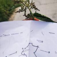 Zdjęcie ilustracyjne wiadomości: Dzień dziecka w Szkole Podstawowej w Piątkowej #27